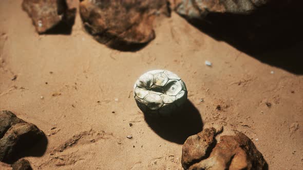 Old Football Ball on the Sand Beach alt