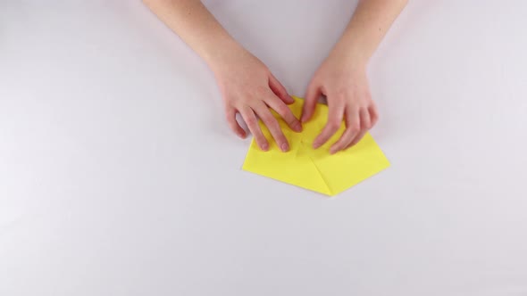 Paper Birds. Origami. White. Time Lapse