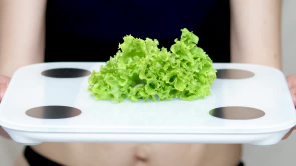 weight loss,wellbeing and nutrition concept. young woman holding salad leaves on body composition
