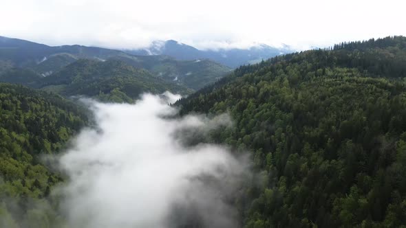 Ukraine, Carpathians: Fog in the Mountains. Aerial.