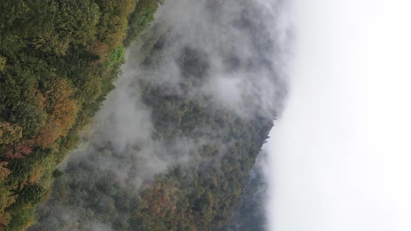 Vertical Video of Fog in the Mountains