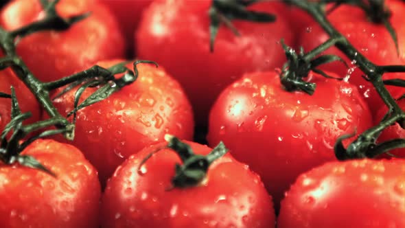 Drops of Water Fall on Ripe Tomatoes