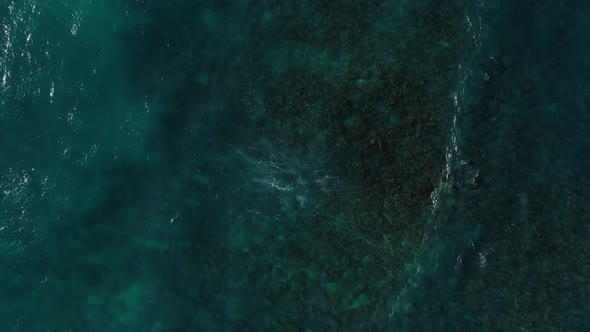 birds eye view static shot of clear blue ocean reef and wave currents in hawaii