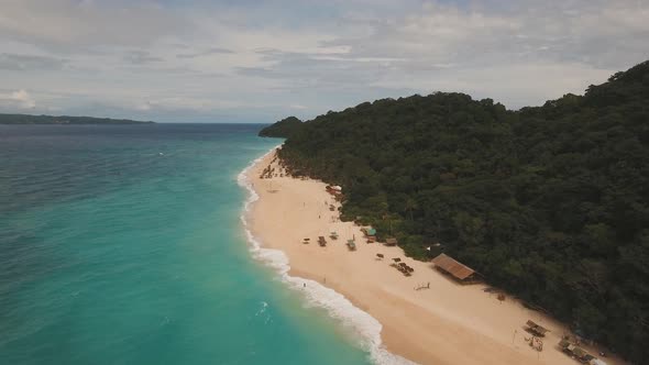Tropical Sand Beach with Palm Trees alt