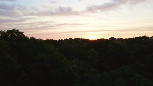 Sunrise Over Forest