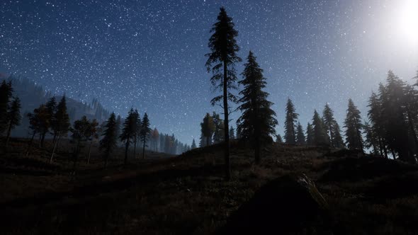 Milky Way Stars with Moonlight