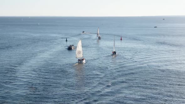 sailboats and yachts sail on the bay