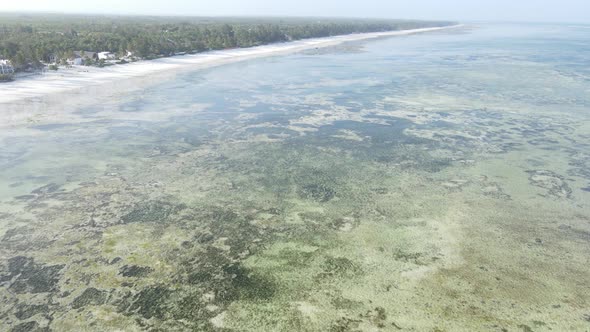 Shore of Zanzibar Island Tanzania at Low Tide