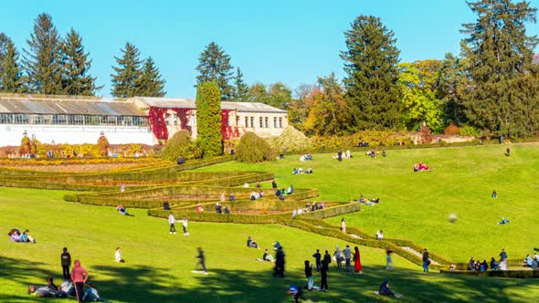 People Crowds Walking and Resting in Autumn Park in Time Lapse