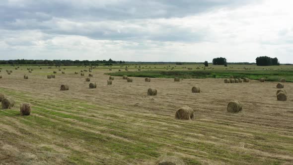 Haystacks On The Field