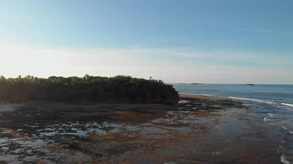 Mangroves and sea, General Luna, Siargao Island, Philippines