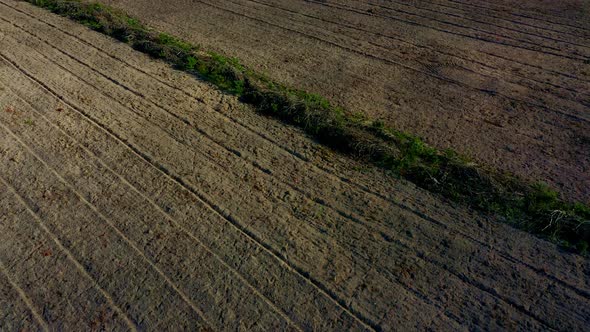 Soil plowed for soybean production on farmland deforested in the Brazilian savannah - aerial view