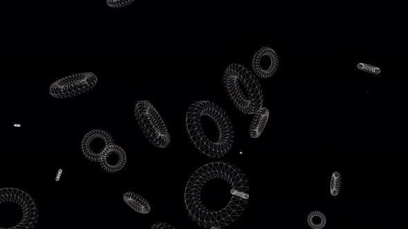 White Wireframe Torus 3D Circles Flying and Rotating on an Isolated Black Background