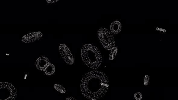 White Wireframe Torus 3D Circles Flying and Rotating on an Isolated Black Background alt