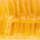Fresh comb honey background texture - VideoHive Item for Sale