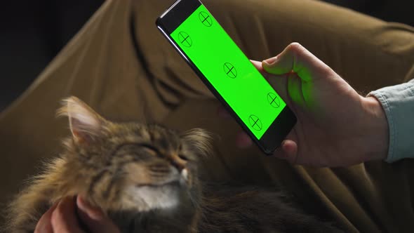 Man Using Smartphone with Green Mockup Screen in Vertical Mode and Stroking the Fluffy Cat