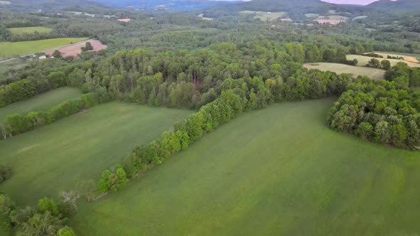Aerial panoramic view of beautiful green covered forest in the mountains