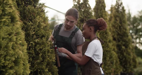 Man Teaching Woman to Trim Trees