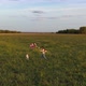 The Mother and Boy Run with a Kite on a Green Field - VideoHive Item for Sale