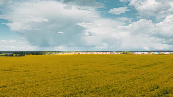 Sky With Rain Clouds On Horizon Above Rural Landscape Canola Colza Rapeseed Field