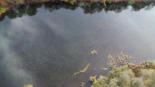 Flying Over Small Lake And Autumn Forest, Drone Stock Footage