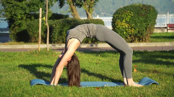 Young Woman Trains in the Park. Woman Doing Fitness Outdoors in the Park