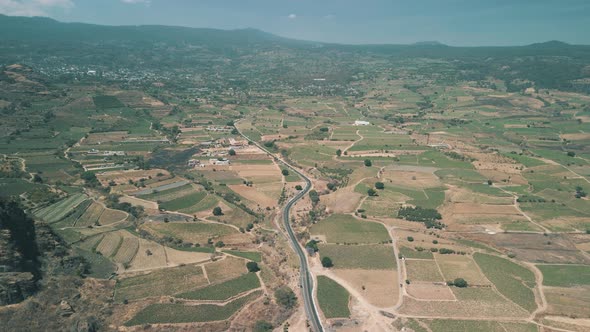 Aerial view of cactus and nopal agriculture in Mexican field