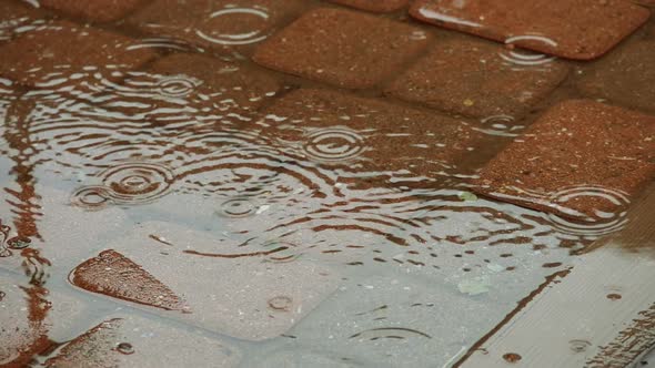 Slow Motion Raindrops