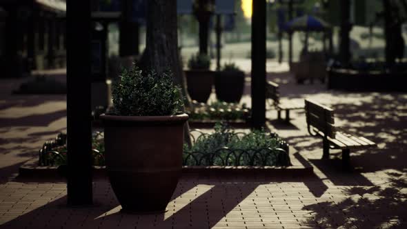 Empty Public Park During Curfew Cause of Corona Virus Quarantine