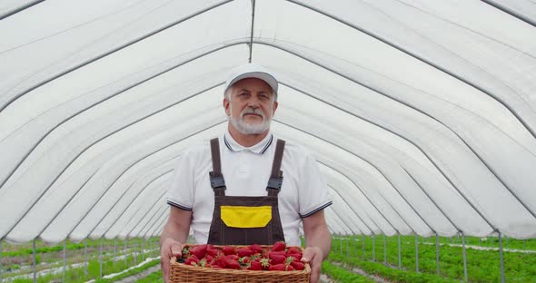 Senior Man Holding Box with Fresh Strawberries Outdoors