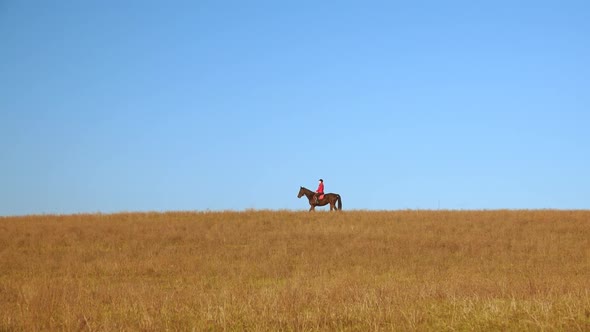 Woman on a Horse Outdoors in the Field