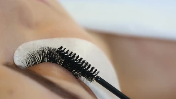 Eyelash Extension Procedure. Woman Eye with Long Eyelashes. Lashes, Close Up, Macro, Selective Focus
