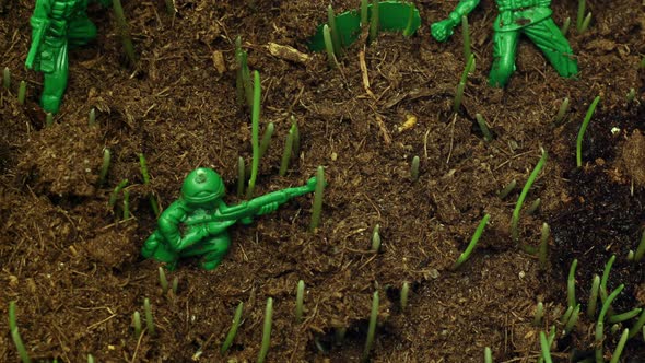 Macro Footage of Small Toy Soldiers on the Earth and Grass Germinating Among Them in Timelapse