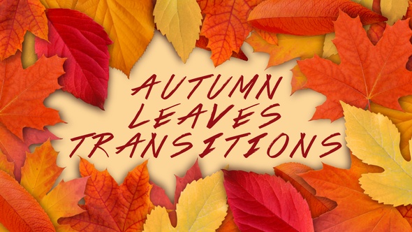 Autumn Leaves Transitions Files