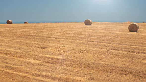 Sunset Sunrise on Yellow Haystack Bale Field Harvest Grain Crops in Countryside in Rural Cyprus