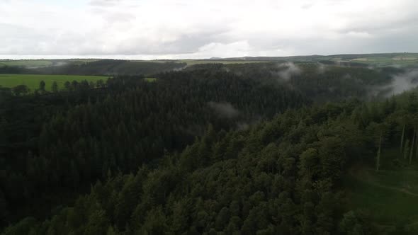 Aerial shot of foggy woodland deep in the countryside