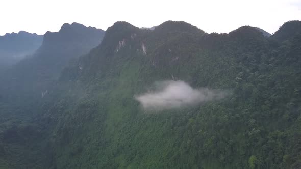 Small Cloud Hangs Among Forest of High Mountain Range