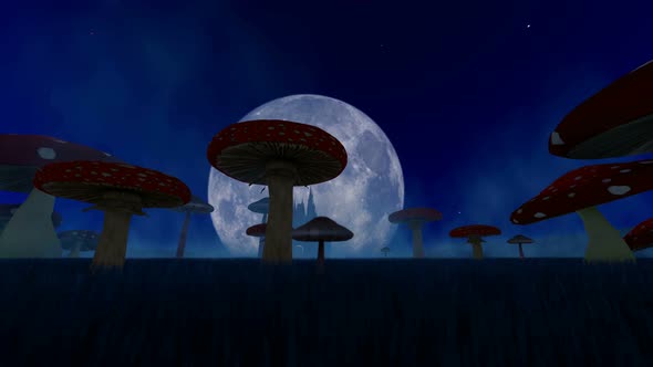 Fantastic Night Landscape With Mushrooms And Fog alt