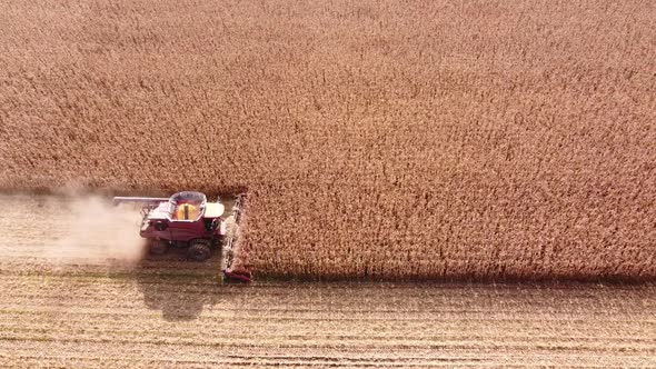 Aerial View Of Harvesting Machine Working In The Corn Field In Southeast Michigan - drone shot