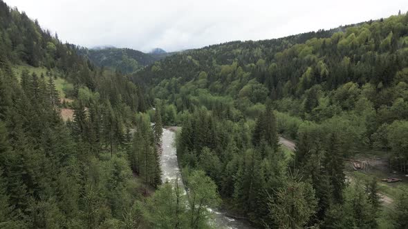 Ukraine, Carpathian Mountains: Beautiful Mountain Forest Landscape. Aerial