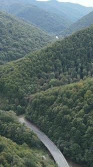 Carpathian Mountains