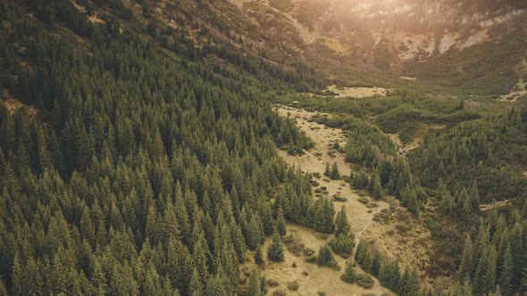 Aerial Sun Mountain Forest