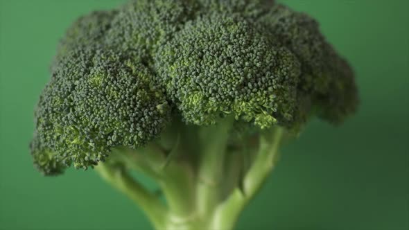 Green fresh broccoli head at green background