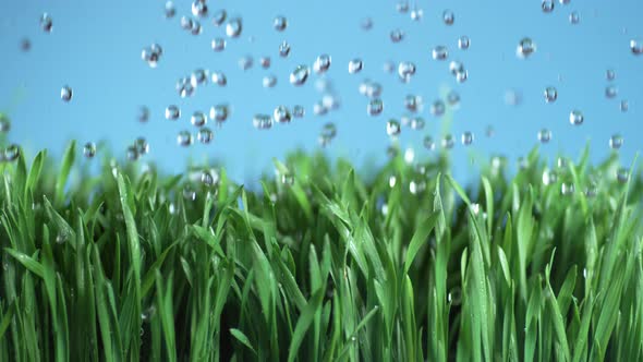 Water falling onto green grass in super slow motion, shot with Phantom Flex 4K alt