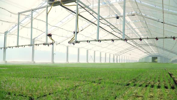 Watering Equipment in Work. Irrigating Plants in Modern Glass Greenhouses