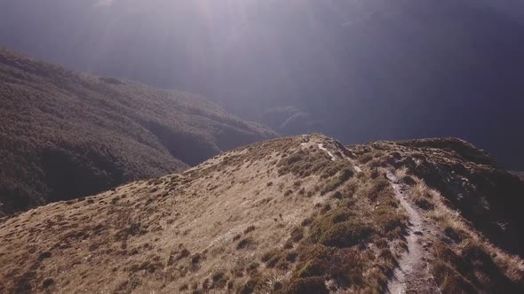 Hiking in New Zealand