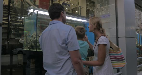 Family watching aquarium in shop show-window