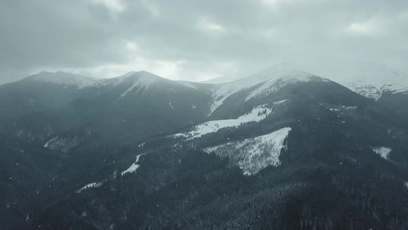 Aerial View Forest Winter