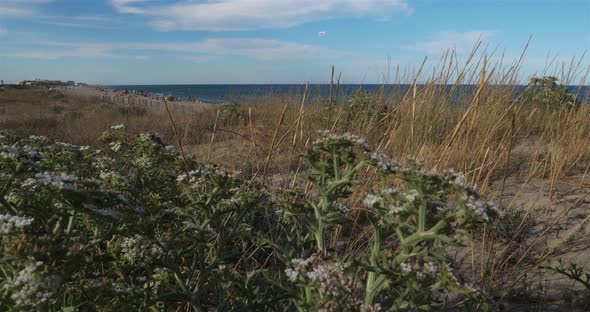 The beach between the Canet en Roussillon and Saint Cyprien