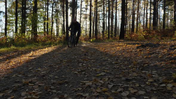 A man rides a mountain bike through a pine forest leaving, brakes sharply leaving behind dust